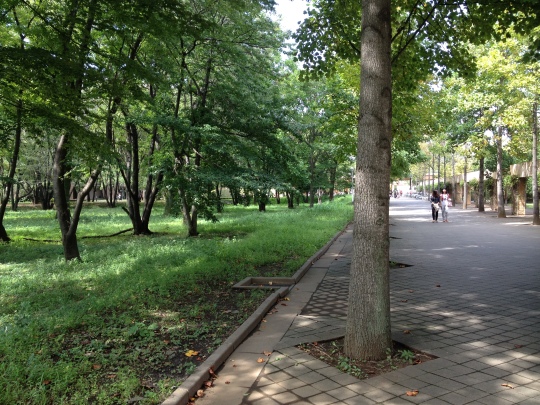 This is a lovely road to the main part of the campus, my main lecture building being on the right.