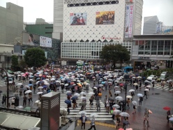 The busy Shibuya crossing, I think it looks even better when everyone has their umbrellas out!