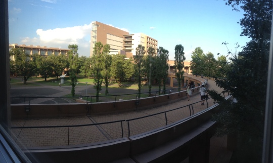 The lovely view from the second floor of the main lecture building; how cool is the circular yellow brick road!!