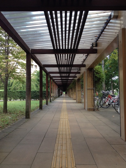 The covered walkway down the long road between the halls and the main campus :)