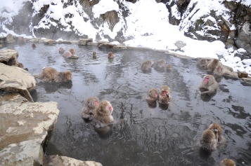 Our first look at the hot spring