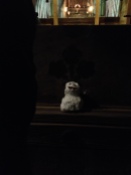 Tiny snowman :)