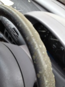 Sadly, the winter had not been kind to my car and the whole inside was mouldy :(