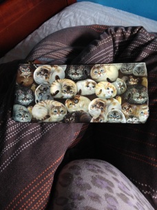 Mitch's Mum gave me all my Birthday presents early and this fantastic pencil case was one of them!