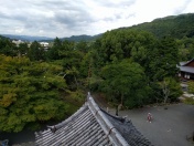 It's very green in Kyoto. Less so in Tokyo
