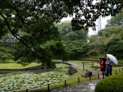 The park in the rain was lovely and quiet