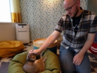 Gary's first cat cafe!