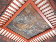 Ceiling dragon
